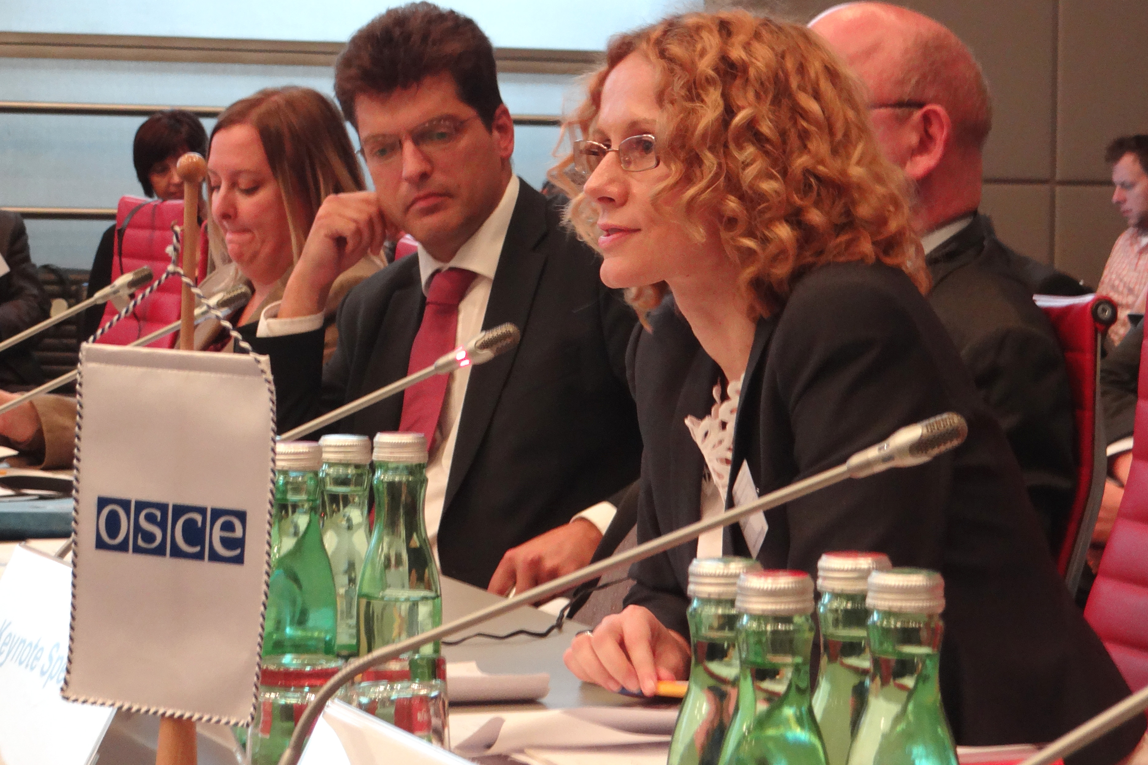 92139 | OSCE Office for Democratic Institutions and Human Rights