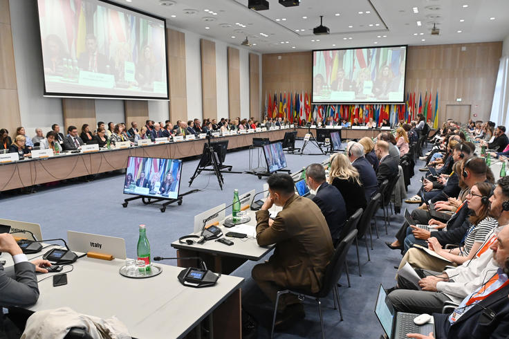 Conference room filled with delegates seated around a large table, multiple screens displaying flags and presenters.