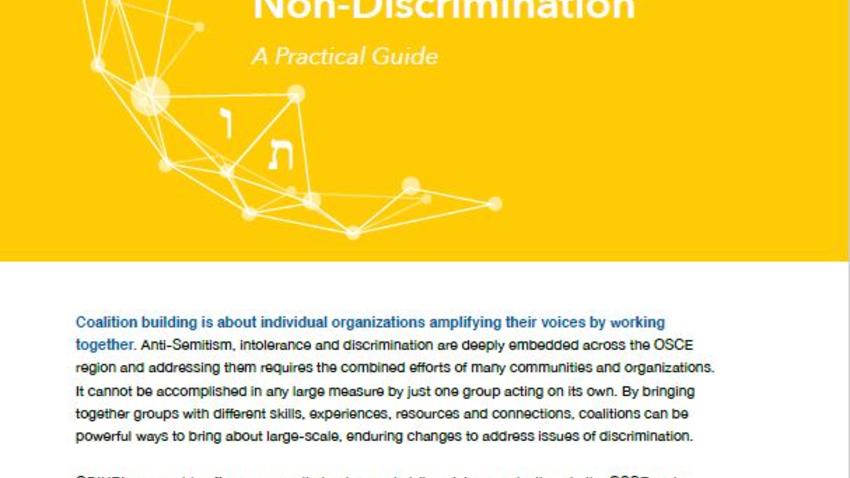 Coalition Building for Tolerance and Non-Discrimination: A Practical ...