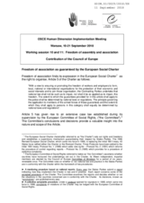 Contribution by the Council of Europe