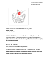 Intervention by Mission Europa