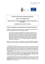 Written Contribution by the Council of Europe