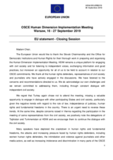 Written Statement by the European Union