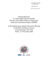 Opening remarks by Ambassador Strohal