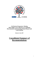 Recommendations from the Civil Society Preparatory Meeting to the OSCE High Level Conference on Combating Discrimination and Promoting Mutual Respect and Understanding