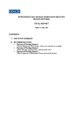 Recommendations from Supplementary Human Dimension Meeting on prison reform. Vienna, 8-9 July, 2002