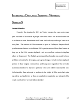 Written contribution on the Internally Displaced Persons