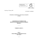 Report by the Committee of Experts for the Development of Human Rights on "Human Rights in a Multicultural Society - Hate Speech"