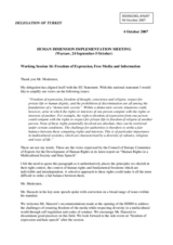 Freedom of expression, free media and information - national statement