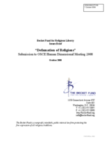 Written contribution 'Defamation of Religions'