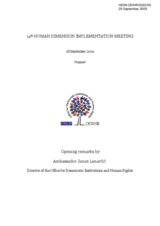 Opening Remarks by Ambassador Janez Lenarcic