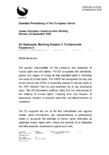 EU Statement on Fundamental Freedoms II