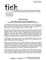 FIDH Oral Intervention