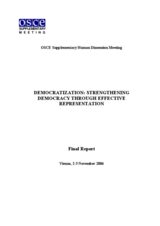 Supplementary Human Dimension Meeting on Strengthening Democracy through Effective Representation, 2-3 November 2006: Final Report