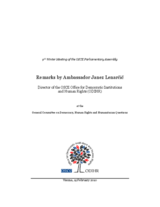 Remarks to the General Committee on Democracy, Human Rights and Humanitarian Questions Remarks to the General Committee on Democracy, Human Rights and Humanitarian Questions