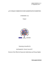 Opening remarks by Ambassador Janez Lenarcic