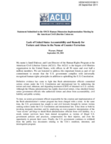 Lack of United States Accountability and Remedy for Torture and Abuse in the Name of Counter-Terrorism