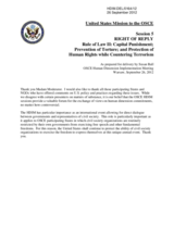 Right of Reply from the United States