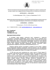 Democratic Elections