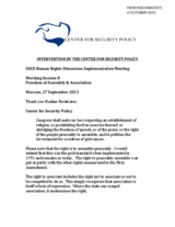 Intervention by the Center for Security Policy under Working Session 8