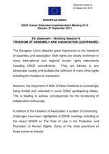 EU statement-Working Session 9: Freedom of Assembly and Association (continued)