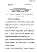 Statement by the Delegation of the Russian Federation