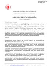 Statement by Ambassador Tacan Ildem, Permanent Representative of Turkey - Working Session 2