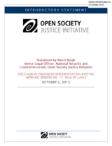 Introductory Statement by Amrit Singh for the Working Session 15 (Rule of Law II)