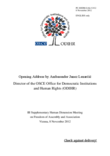 Opening Session, Statement by Amb. Janez Lenarcic, Director