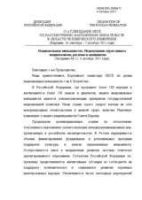 Statement by the Russian Delegation