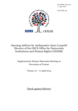 Statement by Amb. Janez Lenarcic, Director