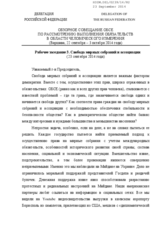 Statement of the Russian Delegation