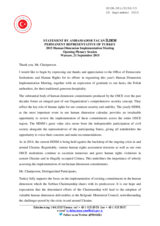 Statement by Ambassador Tacan Ildem