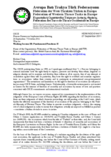 Written contribution for Working Session III: Fundamental Freedoms II