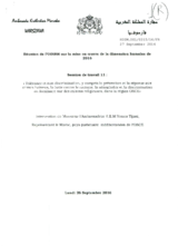 Statement by Morocco for the Working Session 11