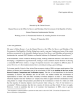 Remarks by Mr. Dusan Kozarev, Deputy Director at the Office for Kosovo and Metohija of the Government of the Republic of Serbia