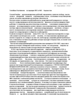 Statement by Non-Government and Non-Commercial Organizations' Association for Working Session 13