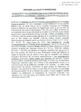 Statement by Salut et Misericorde for the Working Session 14