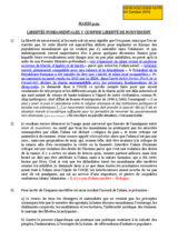 Statement by Salut et Misericorde for Working Session 13