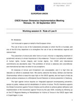 Statement by the European Union for the Working Session 9